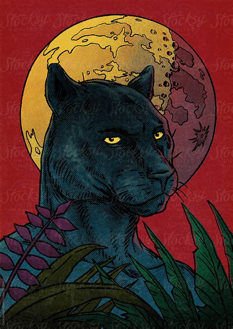 Black Panther With Moon And Plants Illustration By Stocksy