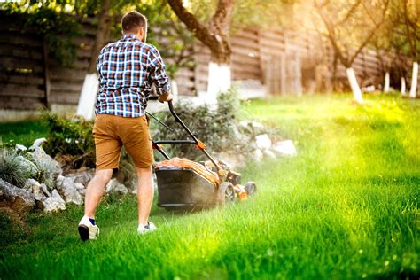 5 Practical Summer Lawn Care Tips For Lakeville MN Paradise Property