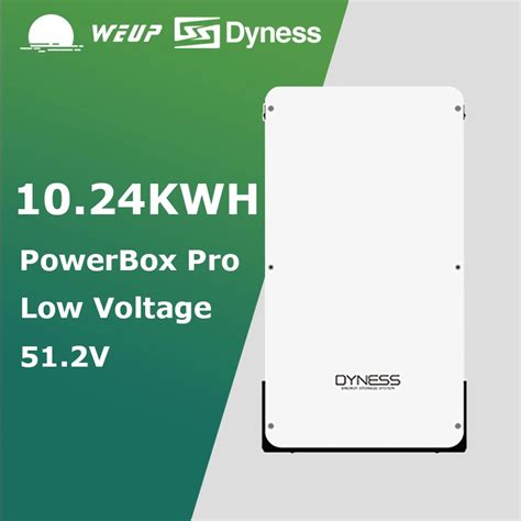 Dyness V Lithium Ion Battery Powerbox Pro Li Ion Powerwall Battery