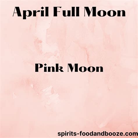 Pink Moon - Spirits-Food And Booze