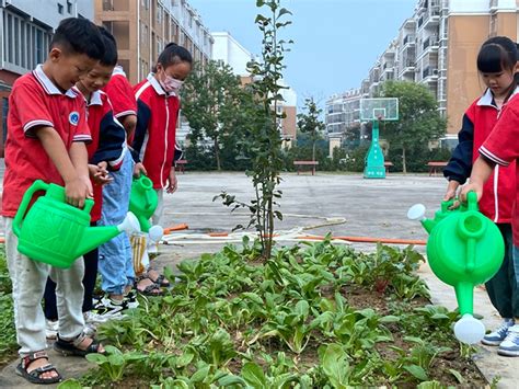 蒙城县嵇康路小学：学生变身“小农夫” 小农场里劳动忙亳州文明网