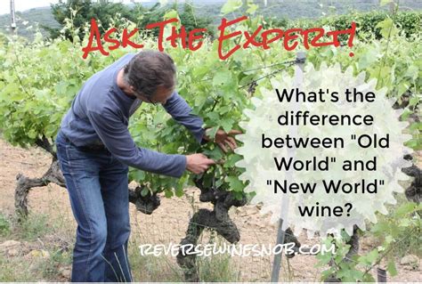 What S The Difference Between Old World And New World Wines