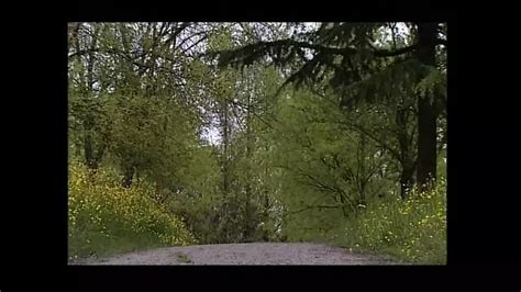 Valentine Demy Porn Videos Porn Star Sex Scenes XHamster