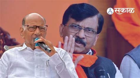 Sharad Pawar निवडणूक नको रे बाबा संजय राऊतांच्या त्या शक्यतेवर शरद पवार स्पष्टच म्हणाले