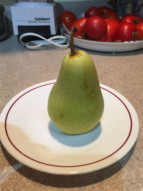 Harrow Delight Pear - General Fruit Growing - Growing Fruit