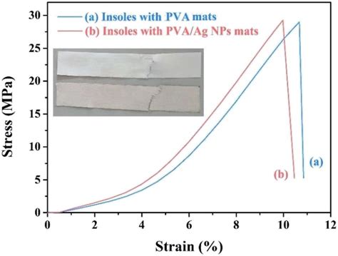 The Stress Strain Curves Of Insoles Inlayed With Neat Pva Nanofibre Download Scientific Diagram