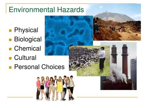 PPT - Environmental Hazards and Human Health PowerPoint Presentation ...