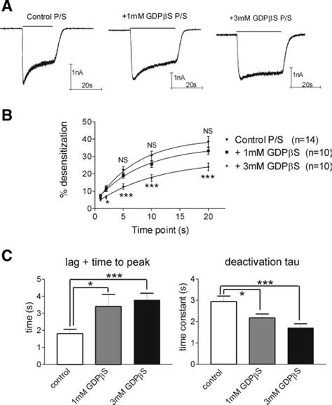 Activation And Desensitization Of Kir3 1 3 2 Currents Are Inhibited By