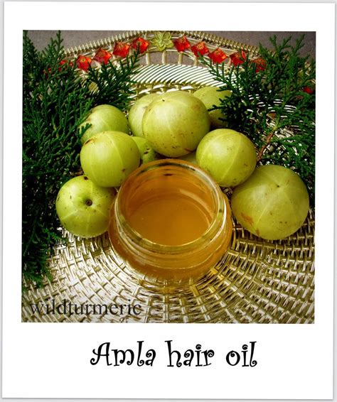 Diy Homemade Amla Hair Oil Recipe For Hair Growth Wildturmeric Hair