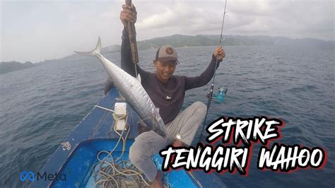 Strike Tenggiri Wahoo Mancing Laut Tengahan Dapat Ikan Idaman