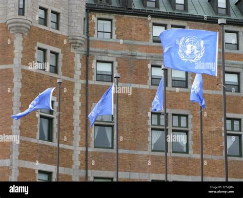 angle shot   united nations flags   big building background