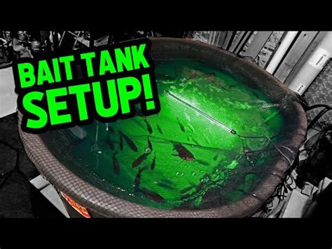 Bait Tank Setup Youtube