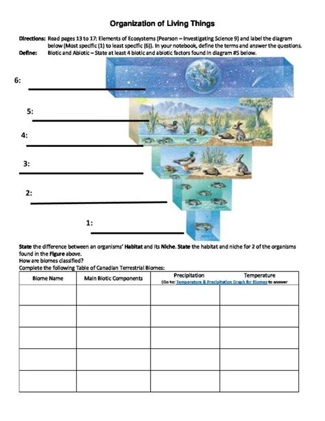 levels  organization worksheet answers