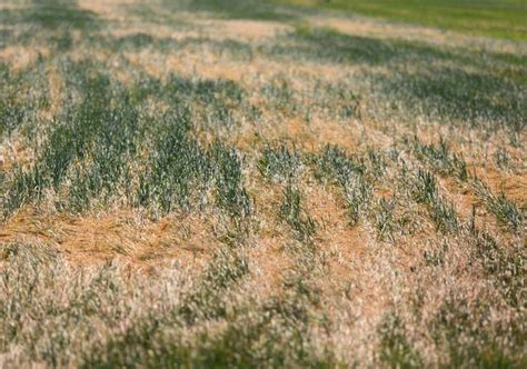 ARAG ASAJA reclama a Agricultura hechos sobre la sequía porque el campo