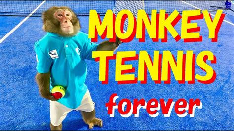 Monkey Tennis Forever Youtube