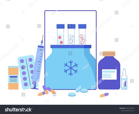 Female Male Egg Cell Cryopreservation Concept Stock Vector Royalty