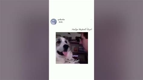 الحقيقه توجع😂 Youtube