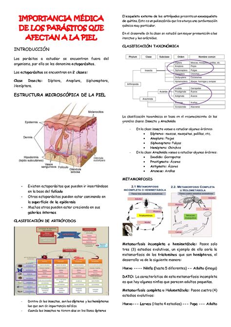 SOLUTION 12 Importancia M Dica De Los Par Sitos Que Afectan A La Piel