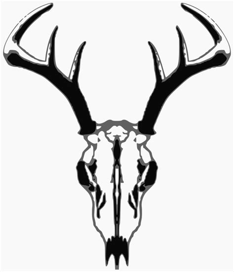 Deer Skull Silhouette Vector At Getdrawings Free Download