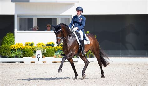 Grand Prix Paard Aswin Overleden Uit Zijn Lijden Verlost Het