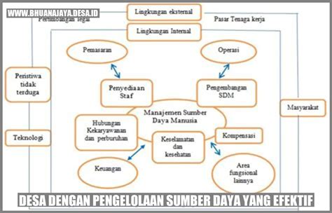 Desa Dengan Pengelolaan Sumber Daya Yang Efektif Desa Bhuana Jaya