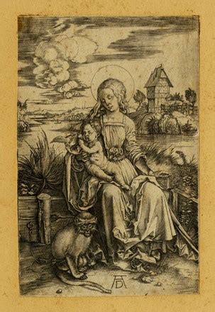 Albrecht Dürer Norimberga 1471 1528 La Madonna con la scimmia