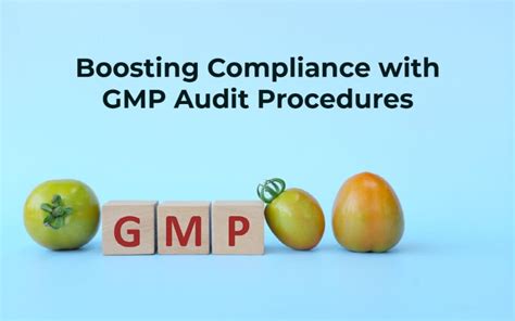 Maximizing Product Quality And Compliance Through Gmp Audit