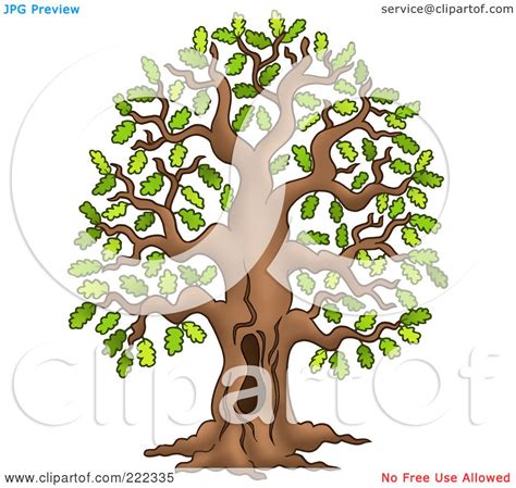 Trunk Hole Clipart 20 Free Cliparts Download Images On Clipground 2024