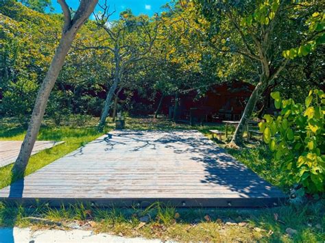 貴子坑露營場：重新開園！營位介紹、申請流程、交通指南詳細攻略