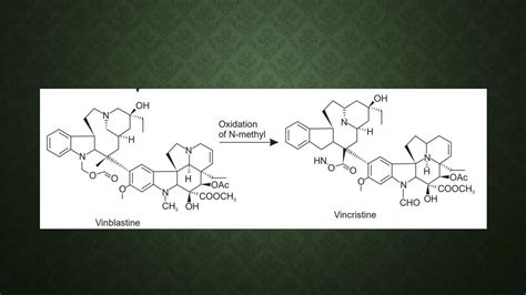 Biosynthesis Of Alkaloids Pptx