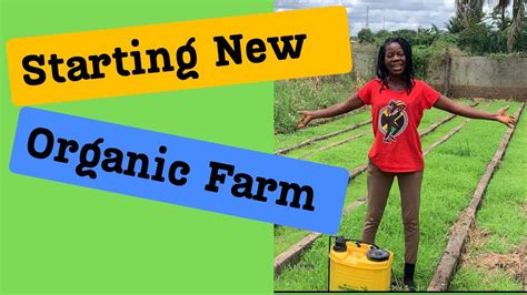 This Is Why I Am Preparing My Land To Start Organic Vegetable Farming How To Start Organic