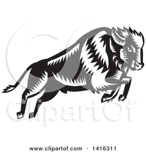 Clipart Of A Black And White Retro Woodcut Leaping And Running Buffalo