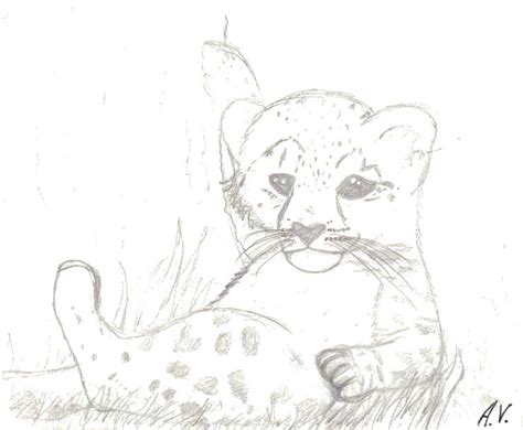 Snow Leopard Cub By Crystalkinz On Deviantart