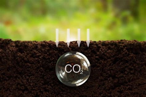 The Hidden Hero Beneath Our Feet: How Soil Organic Carbon Can Mitigate ...