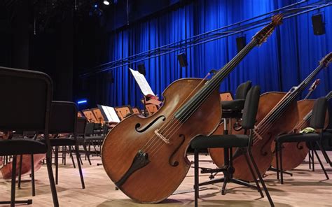 List Of String Instruments In An Orchestra