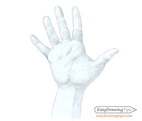 How To Draw A Hand Step By Step Tutorial EasyDrawingTips