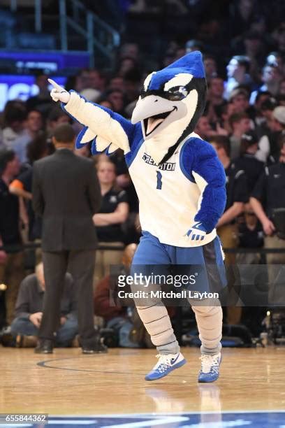 200 Creighton Mascot Photos & High Res Pictures - Getty Images