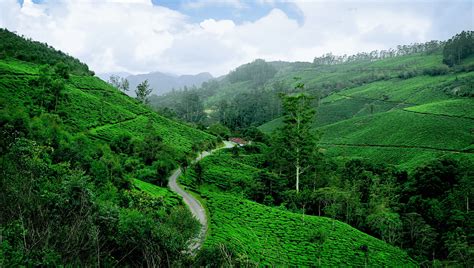 Munnar, India : r/ruralporn