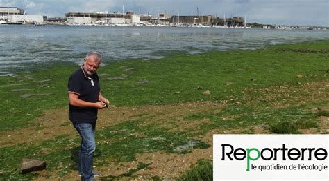 En Bretagne Les Algues Vertes Pourraient Gâcher Lété Oneplanete