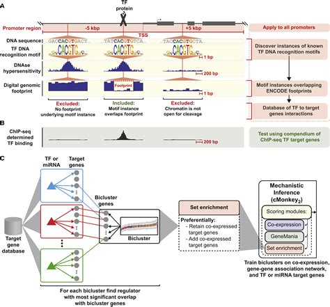 Causal Mechanistic Regulatory Network For Glioblastoma Deciphered Using