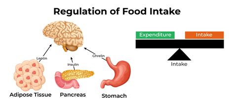 Regulatory Hormones