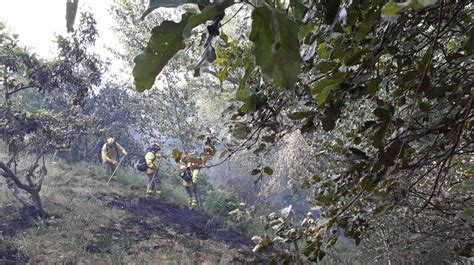 Declarado Un Incendio En Espiel En El Paraje De Arroyo De El Valle