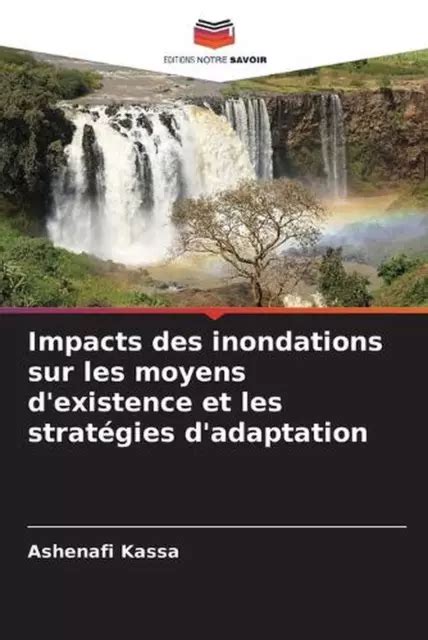 Impacts Des Inondations Sur Les Moyens D Existence Et Les Strat Gies D