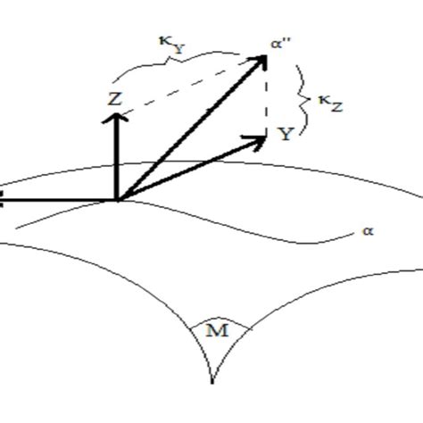 Darboux Frame {t Y Z} And The Frame Curvatures κ Z κ Y τ R Download Scientific Diagram