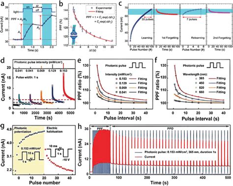 Photoresponsive Characteristics Of The Heterojunction Artificial Download Scientific Diagram