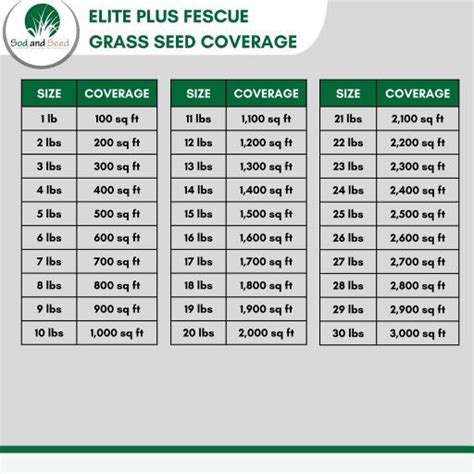 Elite Plus Fescue Grass Seed Sod And Seed