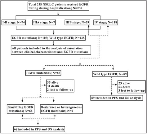 Epidermal Growth Factor Receptor Mutation Status And The Impact On