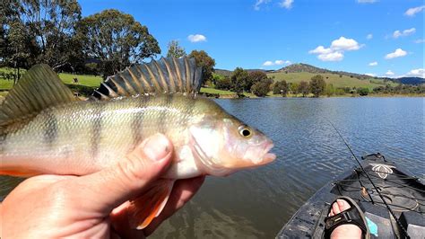 Lake Hume Kayak Fishing Adventure Youtube