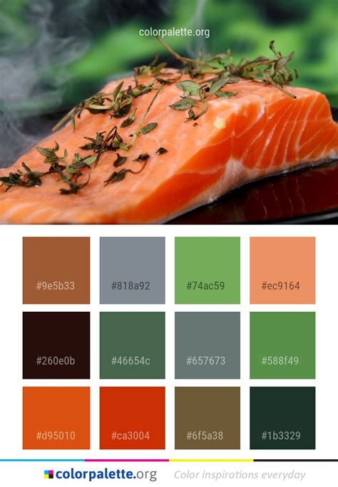 Salmon Color Scheme