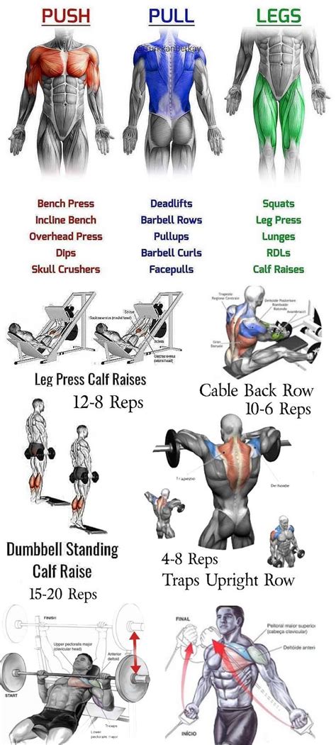 How to Push & Pull Workout